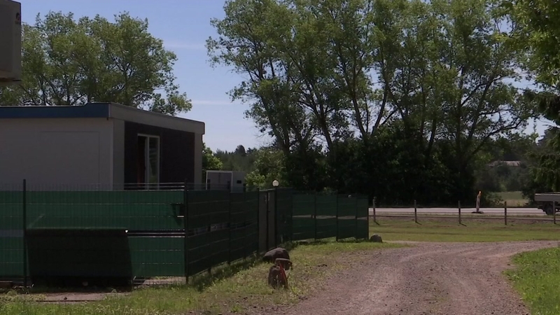 VMVT patikrinimas pribloškė: prieglaudoje nerasta nė vienos katės