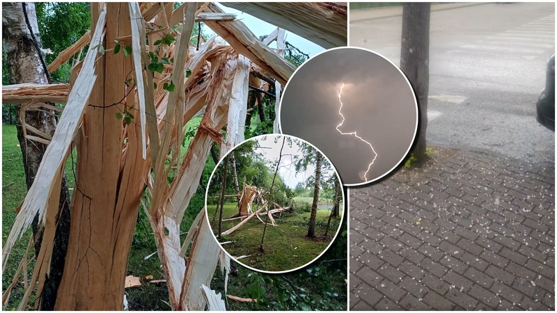 Audros padariniai: žaibo išlydis ištaškė beržą