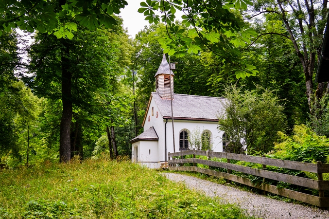 Bažnyčia