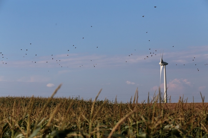„Elektrum Lietuva“ skelbia elektros kainą: kaip keitėsi?
