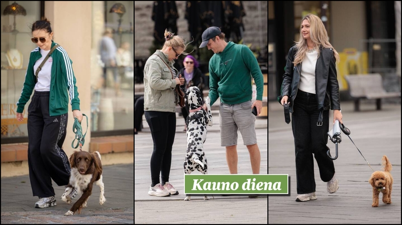 Kauniečių akimirkos – „Kauno dienos“ fotografų nuotraukose   