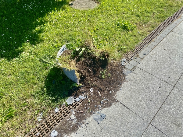 Gėda: Dangės krantinėje suniokoti gėlių vazonai verčia klaipėdiečius jaustis nepatogiai prieš kruiziniais laivais atvykstančius miesto svečius.