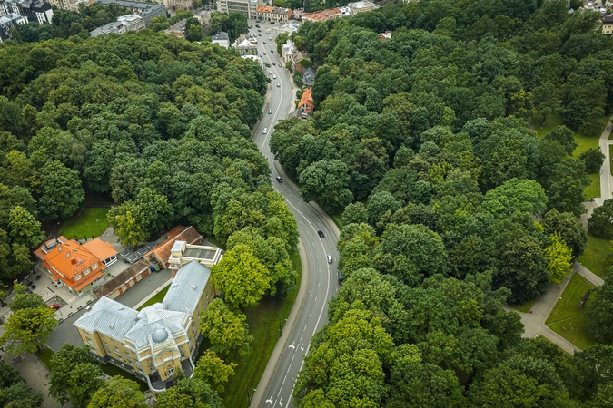 Vieta: naują tiltą ketinama įrengti tarp Vytauto parko ir Mažojo Ąžuolyno.