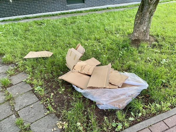 Netvarka: daugiabučio gyventojų atsainumas stebina – maišas su kartono atliekomis paliktas prie pat pėsčiųjų tako.