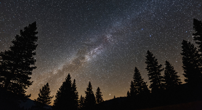 Astrologai atskleidė, ką liepa paruošė kiekvienam Zodiako ženklui