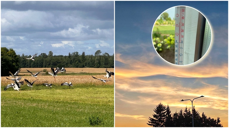 Po karščių – permainos: atskleidė, kokių orų laukti
