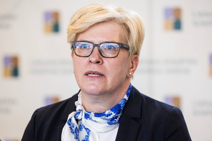Šimonytė: mažiausiai reikia keisti ministrus, kurie santykinai gerai dirba