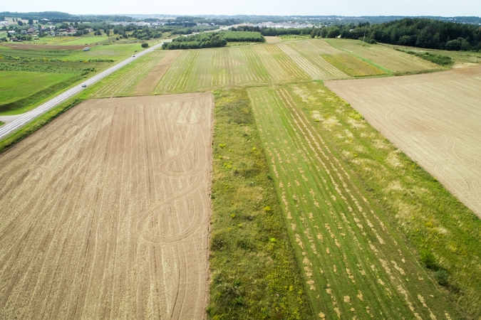Dėl milijoninių nuostolių – nerimą kelianti žinia
