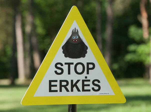 Lietuvoje šiemet fiksuojama mažiau erkinio encefalito ir Laimo ligos atvejų