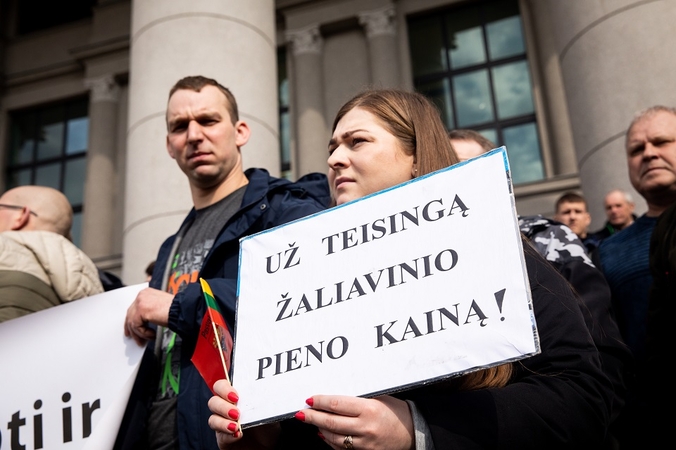 Pieno ūkininkų protesto akcija prie Seimo
