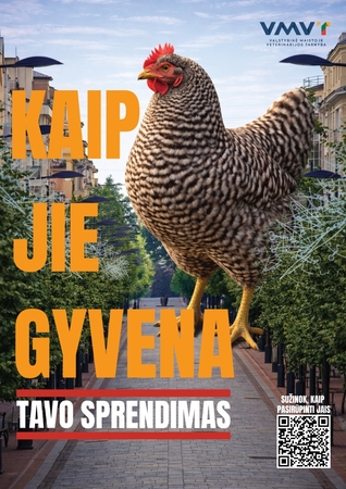 Laiminga višta – skanesnis kiaušinis: kaip užtikrinti gerovę savo paukščiams?
