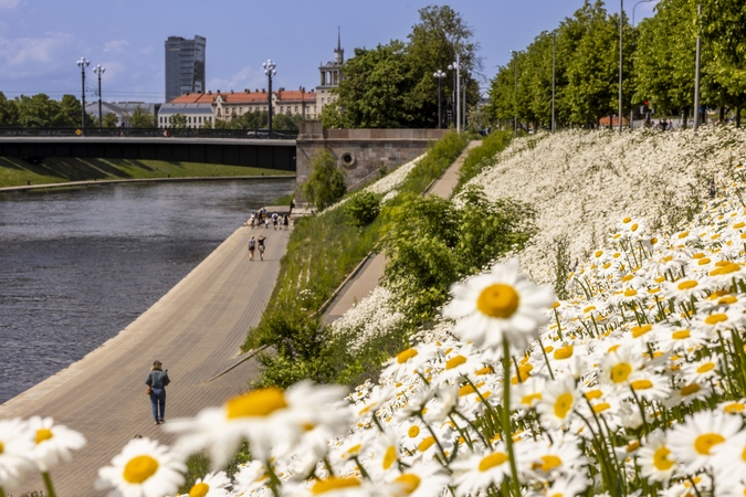 Vilnius stiprina Neries apsaugą: taršą fiksuos realiuoju laiku