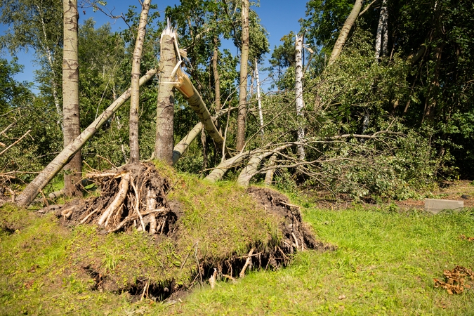Vilniaus rajono meras: svarstome ekstremaliosios situacijos skelbimą