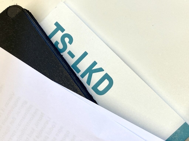 Konservatoriai Nalšios šiaurinėje apygardoje kelia karybos ekspertą Andrejų Šildiajėvą