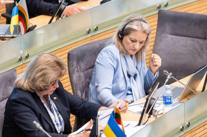 Konservatoriui siūlant griežtinti valstybės turto aukcionus, komiteto vadovė juose pasigenda viešumo