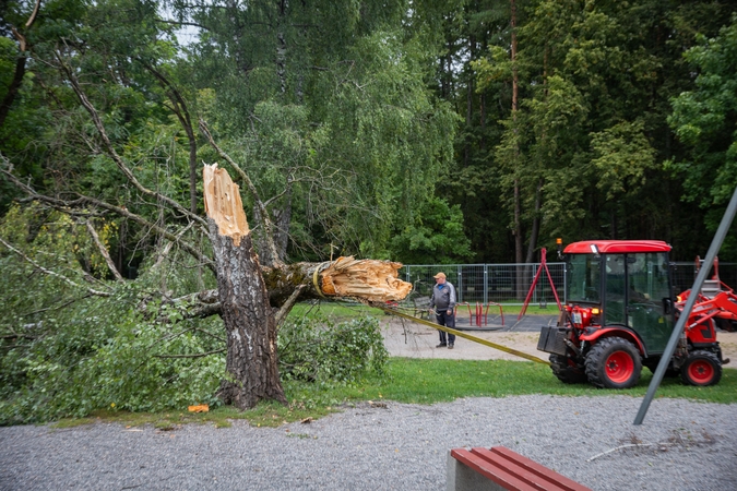 „Grinda“ dėl audros sulaukė per 700 pranešimų: didžiąją dalį stichijos padarinių jau pašalino