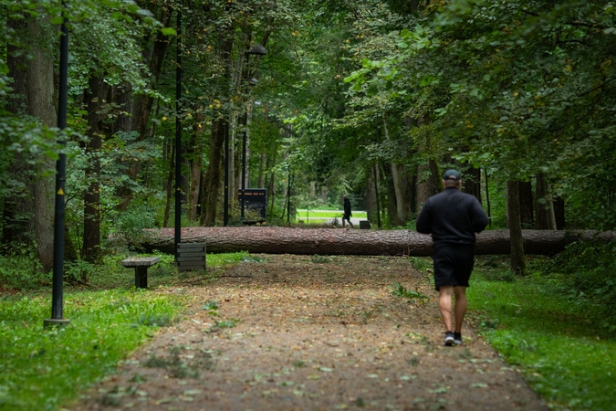 Politikai įvertino šalies pasirengimą audrai: nedarome jokių realių namų darbų, kad būtume pasiruošę