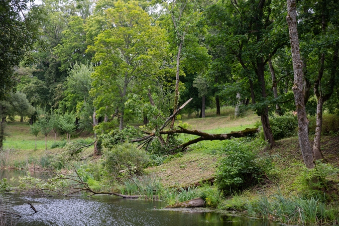 Dėl savaitgalį siautusios audros Telšių rajone paskelbta ekstremali situacija