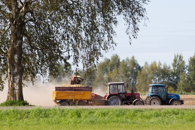 Pradedama mokėti dalis tiesioginių išmokų ūkininkams