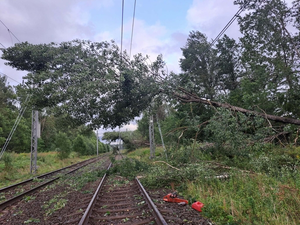 Sutriko traukinių eismas: nesklandumus pajuto 1,6 tūkst. keleivių