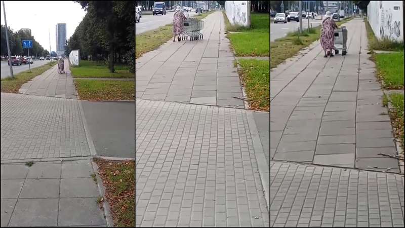 Pribloškė senjorės ryžtas – gatve stūmėsi virtinę vežimėlių