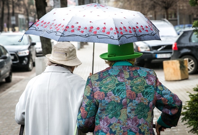Ruginienė žada kurti „vieno langelio“ paslaugų sistemą 