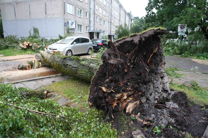 Latvijoje elektros vis dar neturi 87 tūkst. vartotojų
