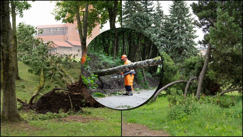 Be vandens, elektros ir mobiliojo ryšio: savivaldybės dorojasi su audros padariniais