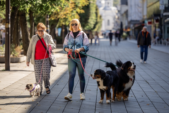 Kauniečių diena (2026-08-27)
