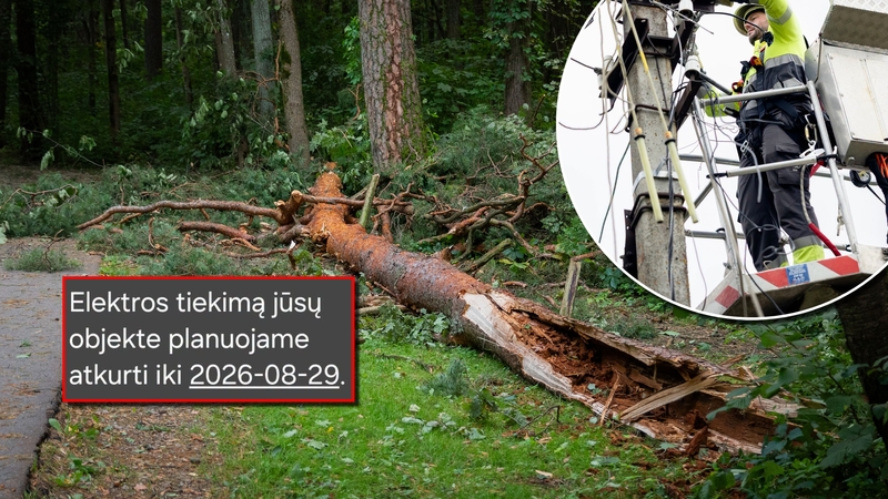 Po galingos audros – gyventojų pyktis: elektros tiekimas bus atnaujintas tik po savaitės?