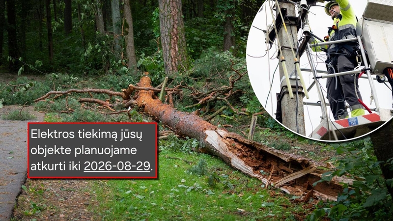 Savaitė po audros: dešimtys tūkstančių žmonių – vis dar be elektros