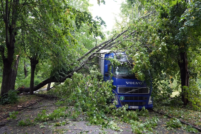 Latvija svarsto kreiptis į EK pagalbos dėl savaitgalio audros nuostolių atlyginimo