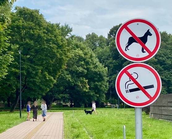 Ignoruoja: nepaisant prie parko prieigų esančių aiškių draudžiamųjų ženklų, dalis klaipėdiečių ir toliau vedžioja šunis Klaipėdos senosiose kapinėse.