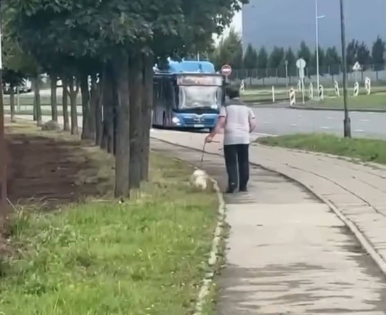Svarstymai: klaipėdiečiai viliasi, kad, pasitvirtinus teiginiams apie smurtą prieš šunį, keturkojis iš vyro bus konfiskuotas.