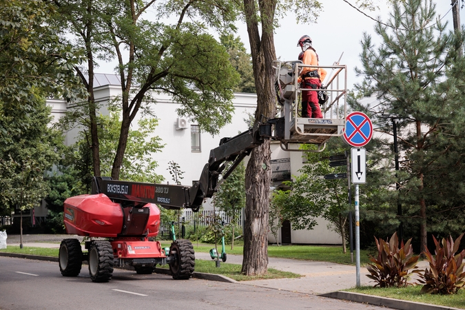 Atvyko: Perkūno alėjoje pasirodę genėtojai pradžiugino ne visus gyventojus.