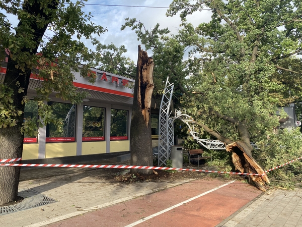 Elektros generatorių pardavimai Latvijoje po audros pašoko beveik 40 kartų
