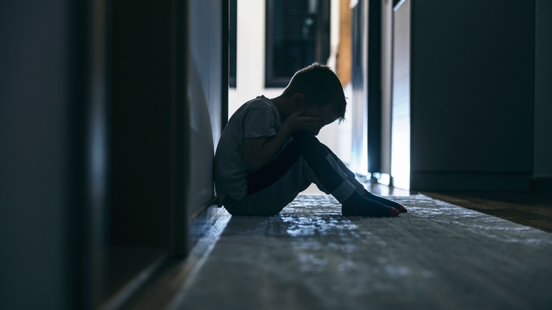 Pedofilų registras: kodėl taip ilgai delsiama?