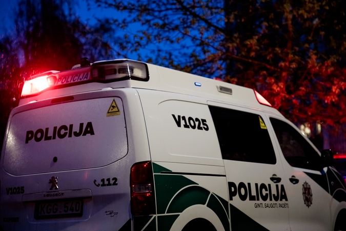 Incidentas Kauno parke: 10-metis sužalojo 9-metį