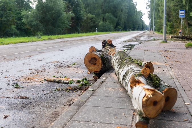 Varėnos rajoną ir vėl talžė audra, nuvirtę medžiai užtvėrė kelius