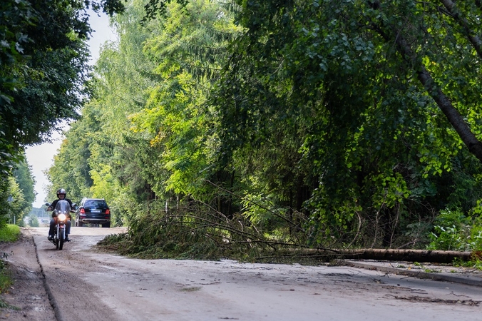 Savickas ir Olekas: turi būti spartinamas požeminių kabelių tiesimas