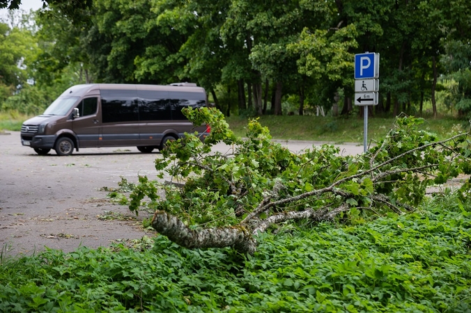 Kontrolė: silpnąsias vietas turime tvarkyti ne tada, kai jau tenka šalinti krizės padarinius