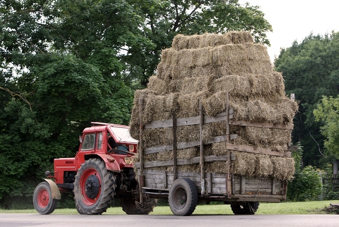 Ūkininkams šiemet – beveik 20 mln. eurų parama
