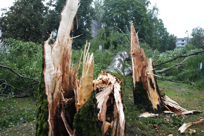 Latvijoje audra pridarė didelės žalos: žuvo žmogus