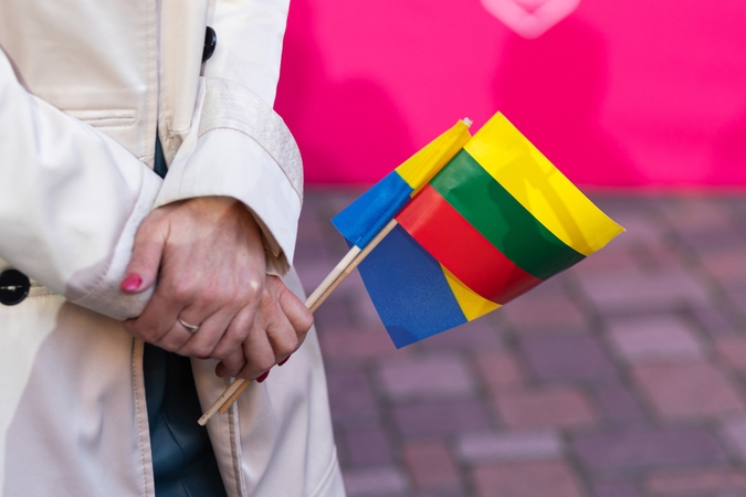 Trims vyrams – kaltinimai Vilniuje išniekinus Ukrainos ir Lietuvos vėliavas