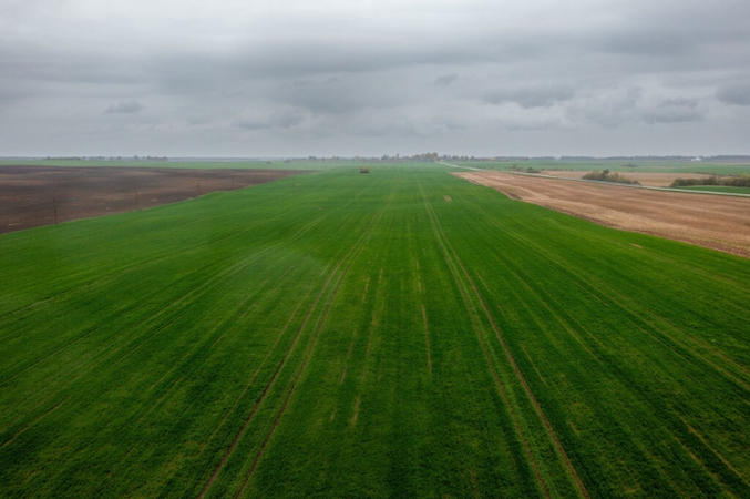 „O kur jiems pasidėti?“: dėl dronų gamyklos susikerta viltys ir baimės