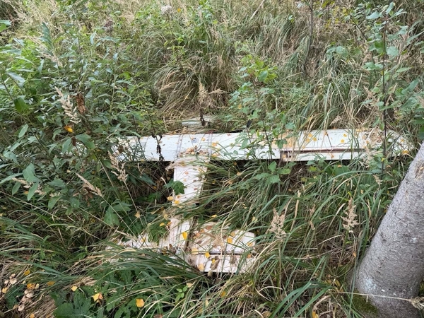 Iš policijos – naujausia informacija apie Pasvalio rajone rastą droną