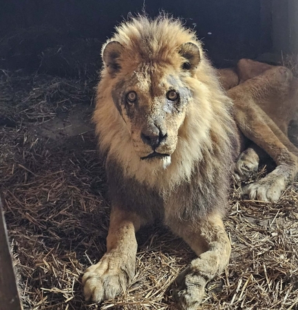 Nuo pirmadienio užsidaro Klaipėdos zoologijos sodas