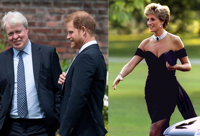 Princesės Dianos brolis, sūnus Harry ir princesė Diana