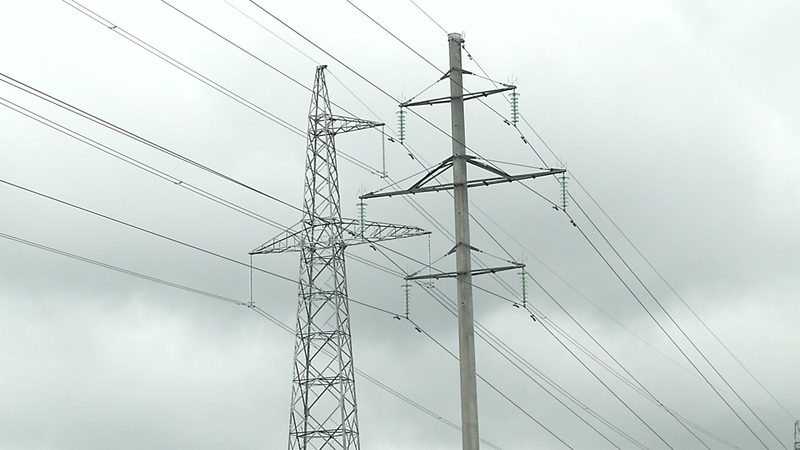  Ekspertė perspėja dėl elektros kainų
