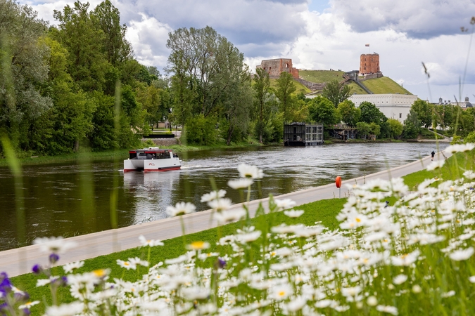 Neries upėje galite pastebėti neįprastą vaizdą